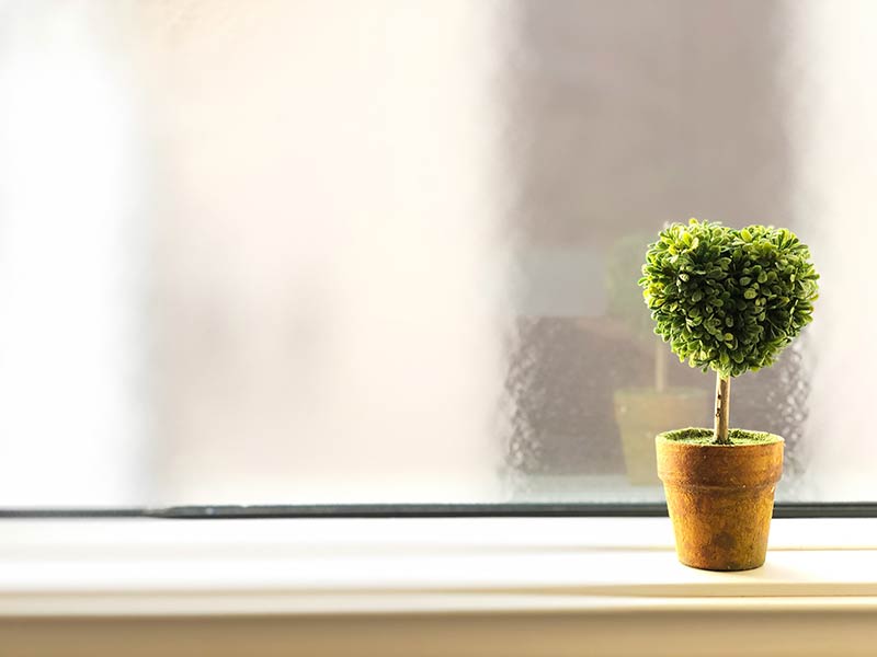 windowside-interior_01